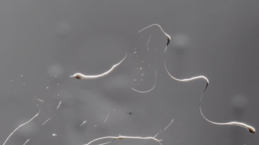 Water spreads on glass under a microscope