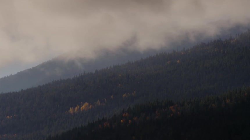 Low lying clouds pass over forest covered mountains