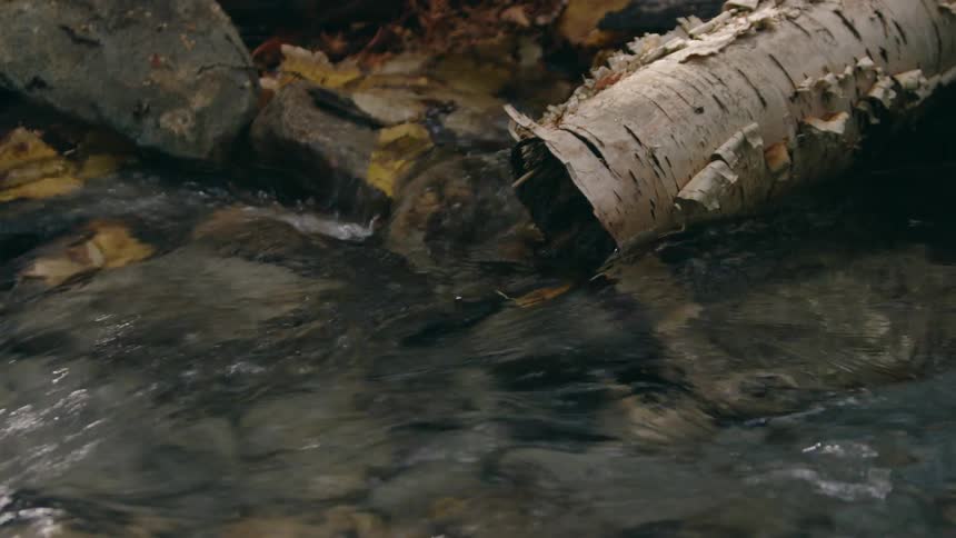 Close up of stream flowing down