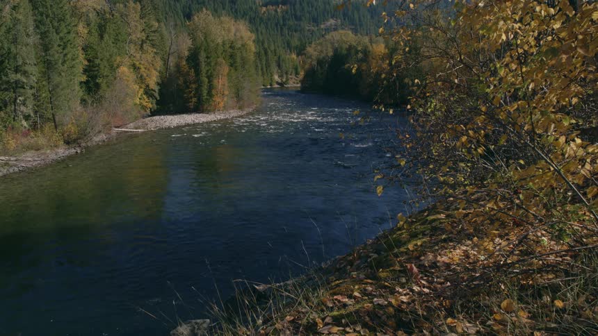 A river stream flowing between two sides of forests with shallow rapids in the stream