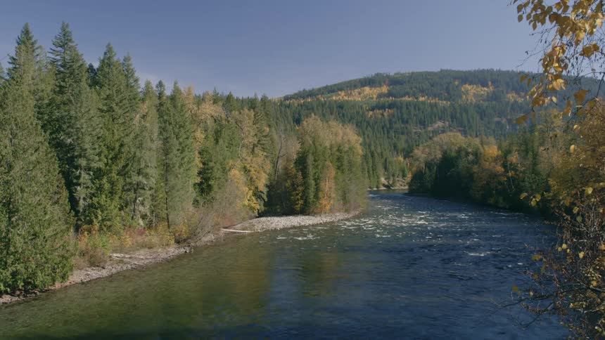 Water flows through a river with forests on the coast and forested mountains in the distance