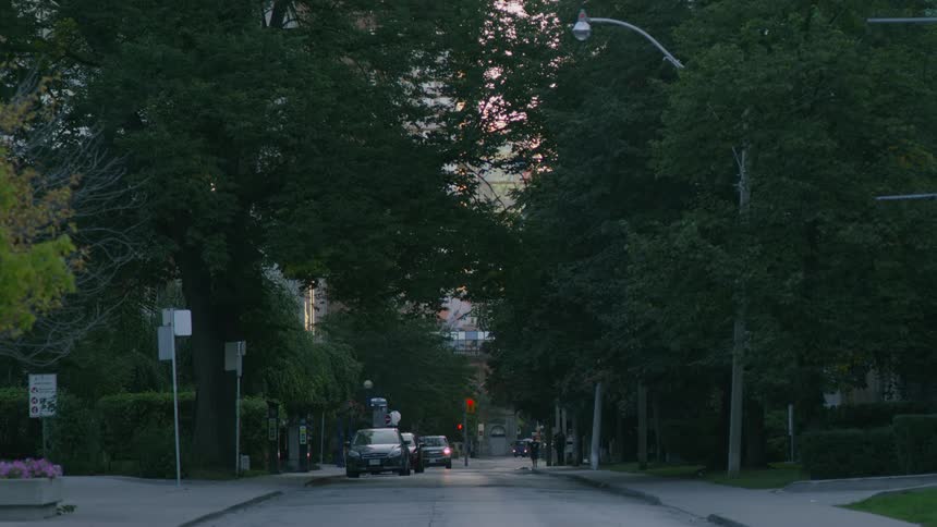 A suburban street with cars parked on one sideand tall trees creating a canopy over the street