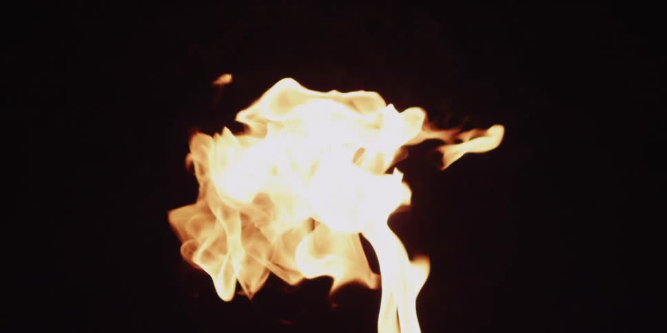 Flames rise in front of a black background