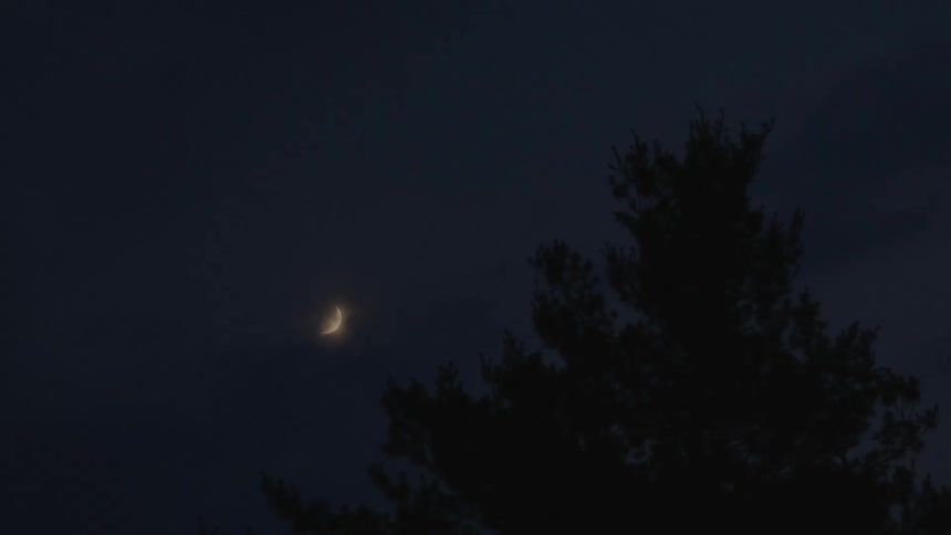A crescent moon glows in the night sky near a tree