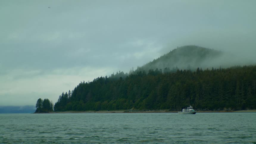A large boat idles off a coastline covered in thick forest and fog