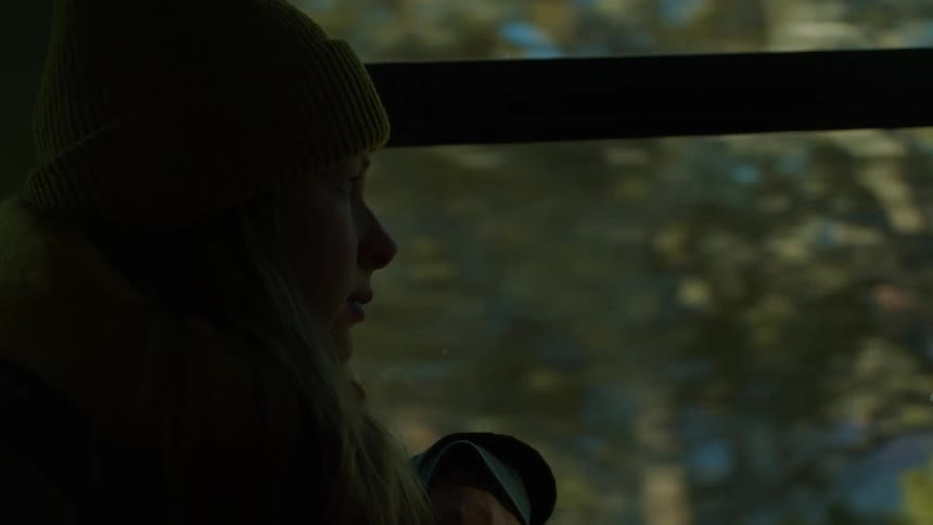 A woman takes in the view from her window seat on a train