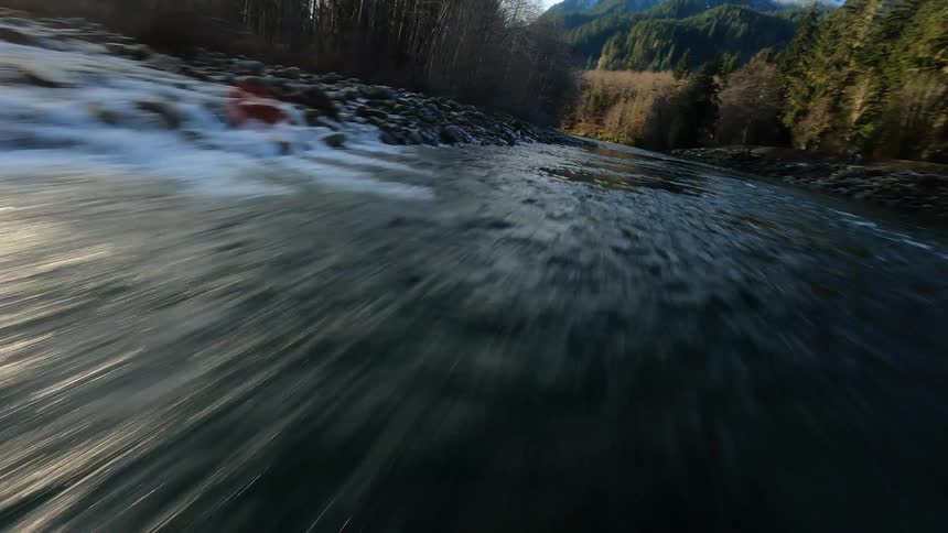 A high-speed FPV drone shot flying over a river in the middle of a forest