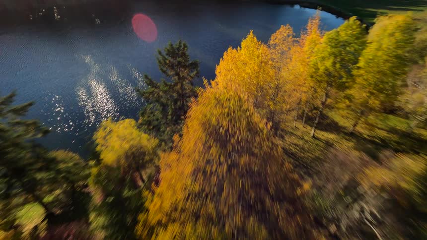An FPV drone view of a dense pine forest changing colors and a pond through the trees and a highway in the distance