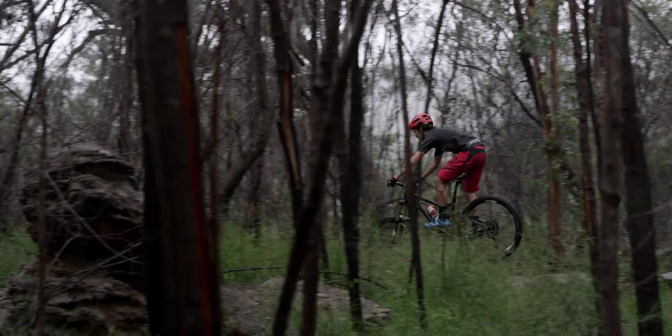 A person rides a bike through the forest