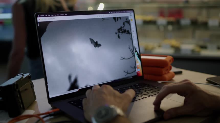 Male photographer sits in cafe editing photographs on a laptop