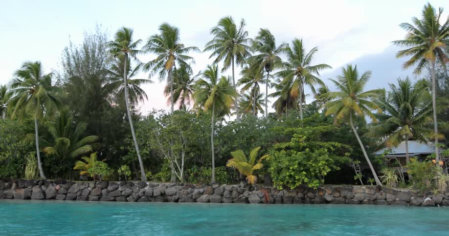 Palm trees and a rock wall line the shore of an island