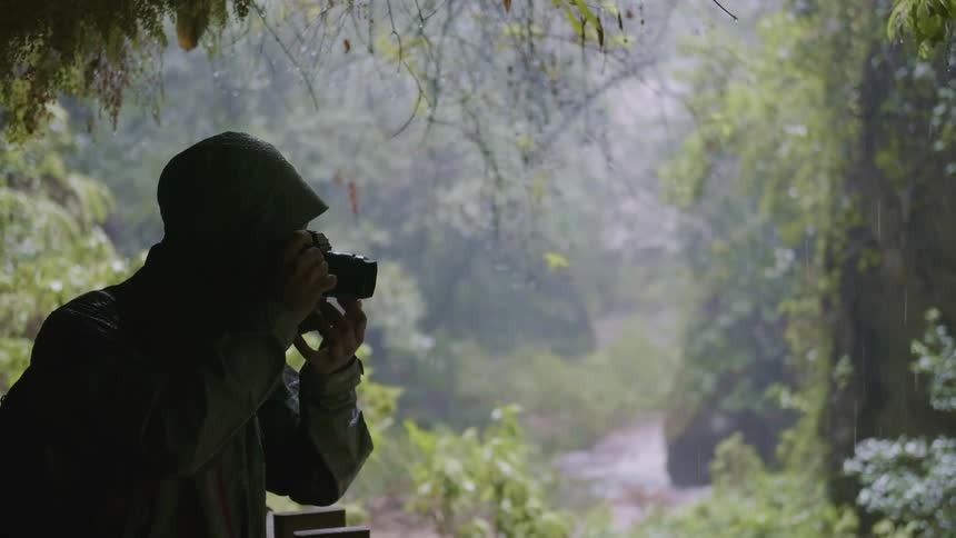 A man is taking pictures in a rain forest