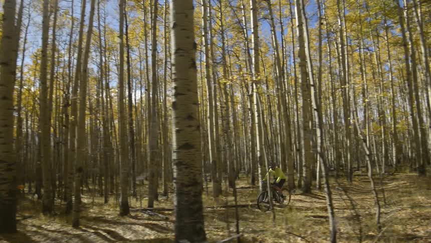 Man wearing helmet and gear biking through woods during the day