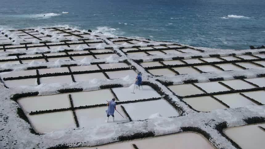 People tending to a salt field