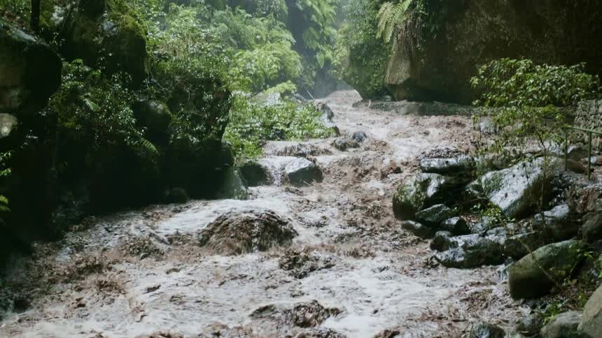 A muddy rushing creek cuts through a gorge in a rain forest