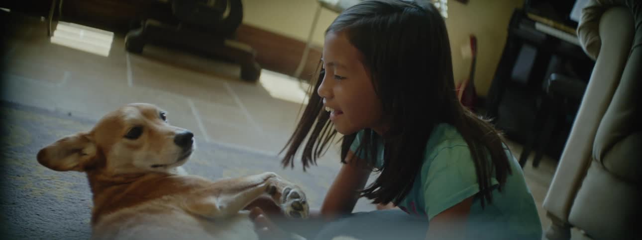 A girl playing with a dog