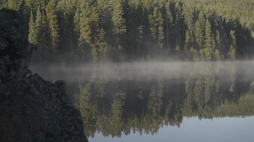 Landscape of serene lake and dense green forest