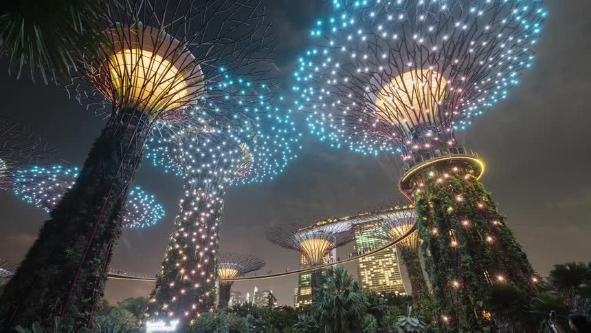 A time lapse of tall fake trees lit up at night as people walk across a bridge connecting the trees in Singapore