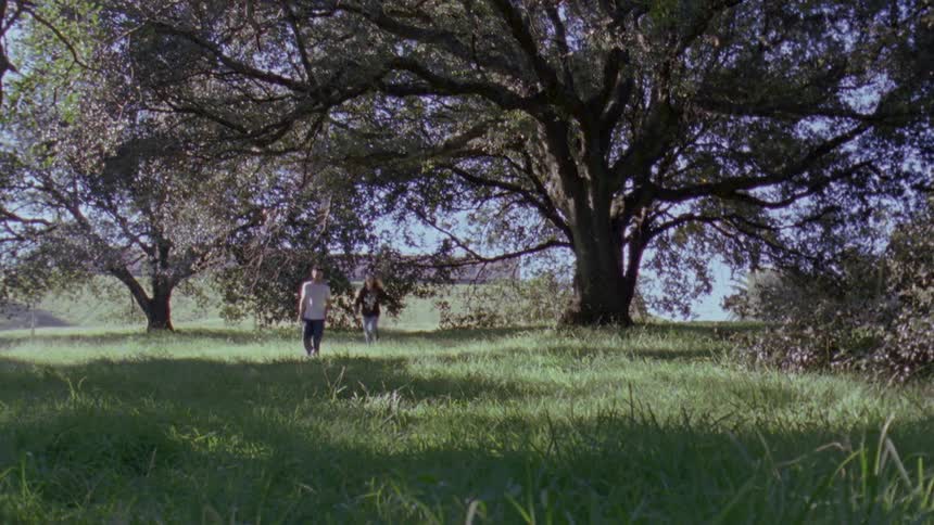 A woman chases after a man in the park