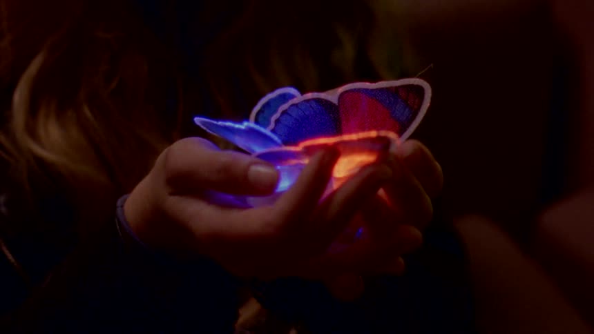 A woman holds flashing butterfly toys in her hands