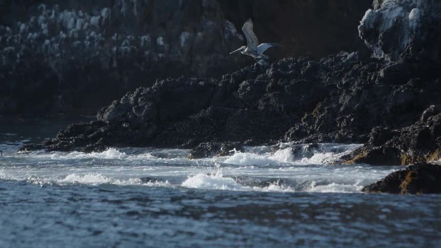 Birds are flying above the body of water