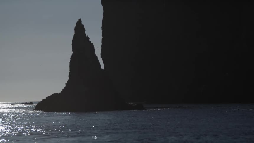 A seagull flies near a tall rock formation along the coast near the promontory and the sun shines on the water as waves roll in to shore