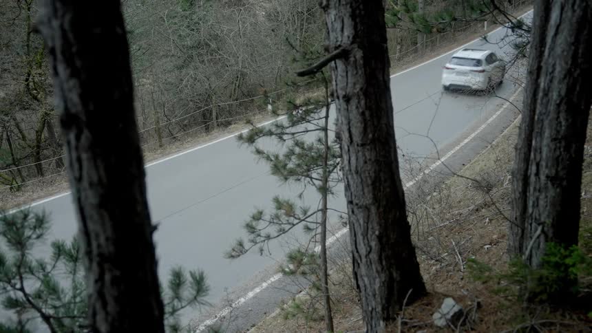 Car drives along highway through woods fenced on one side