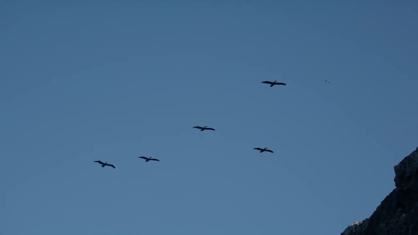 The view is of the nature area and you can see birds flying