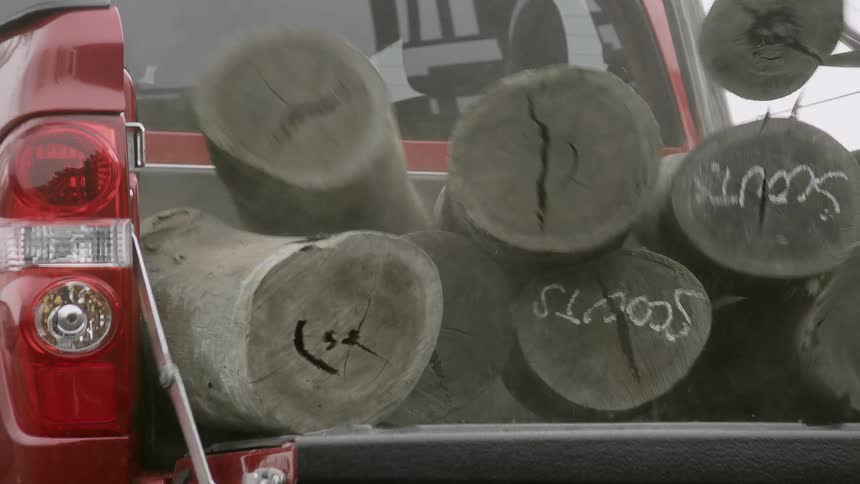 The view is of a truck outdoors in the middle of the day