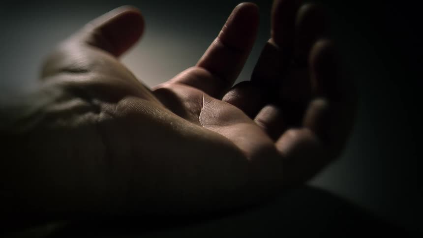 Close up view of the palm of a hand is displayed
