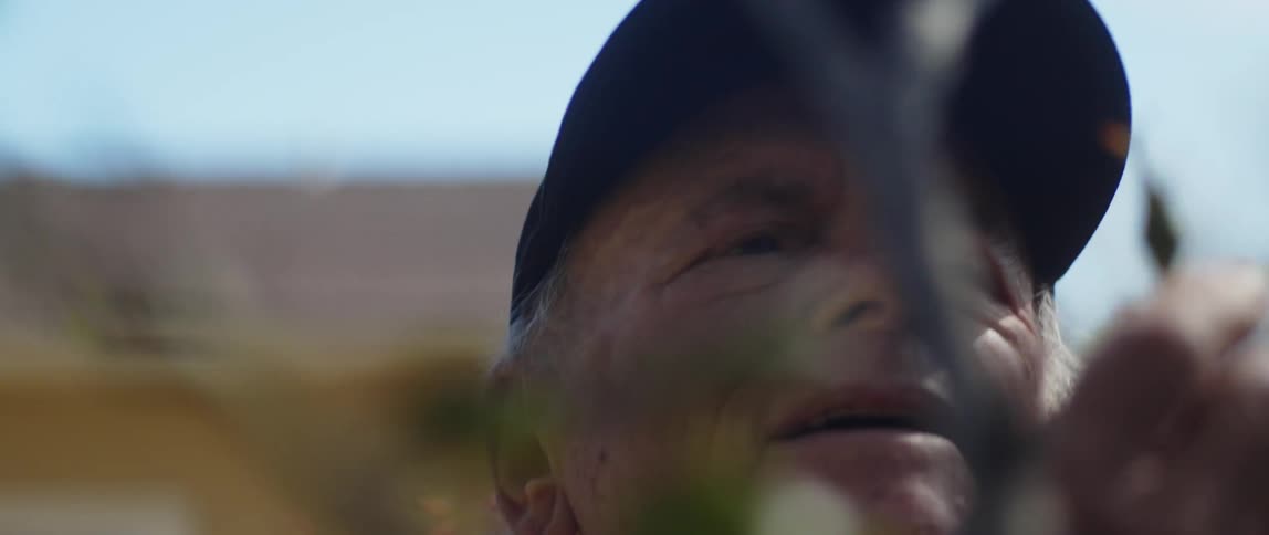 Elderly man with blue cap and crimson shirt gardens in the backyard of a house