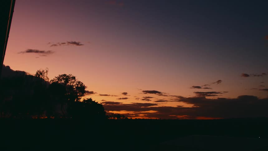 Trees in dark silhouette against the sunrisesunset