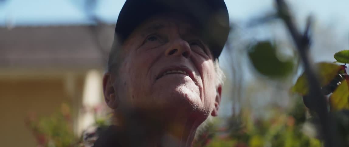An elderly man turns his gaze from the side forward then looks up while he is standing in a yard on a sunny day beside flowering green bushes next to a house