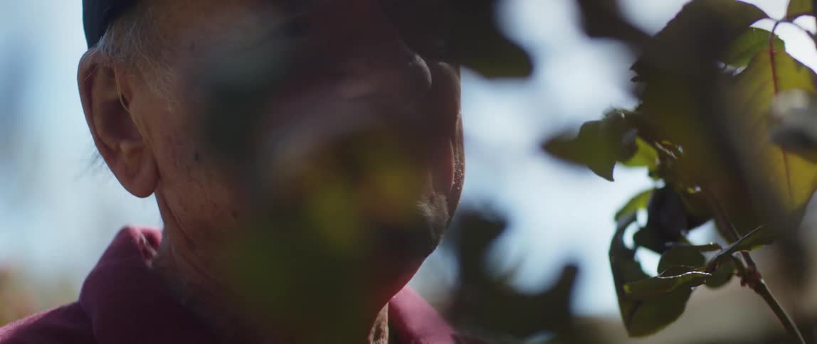 An old man wearing a cap smiles while gazing up near a tree