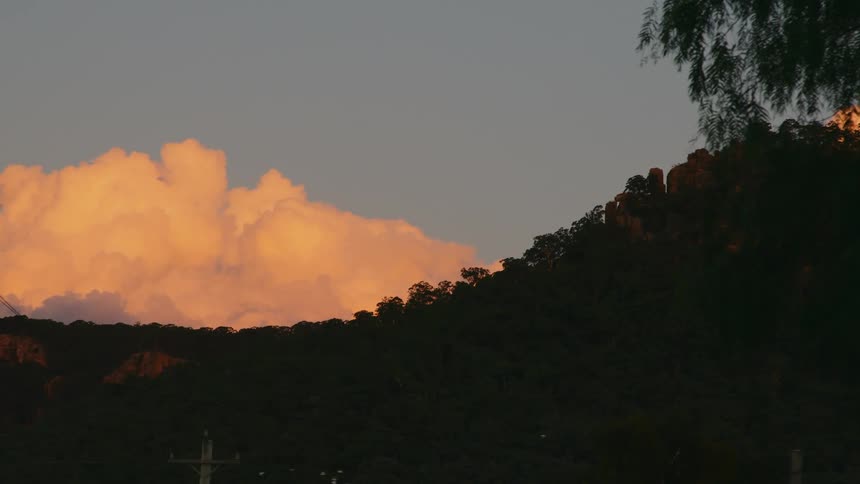 The view is of the nature area around the day time