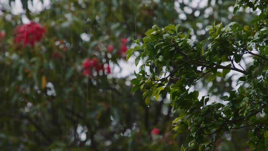 The view is outdoors and it is raining