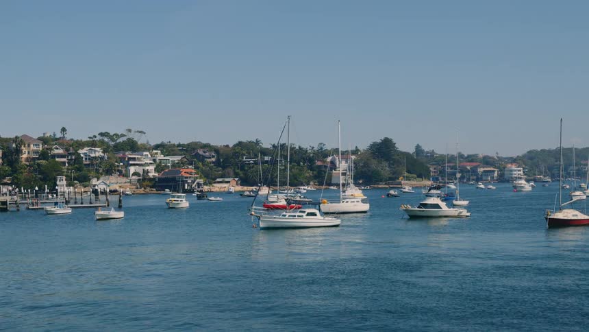 Sailboats sitting in a marina on a coastline near a suburban area