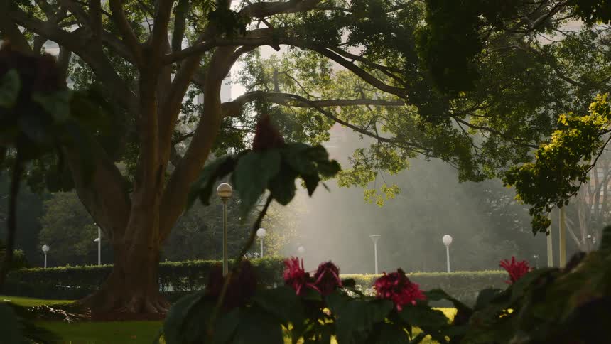 Landscape of green public park at sunset