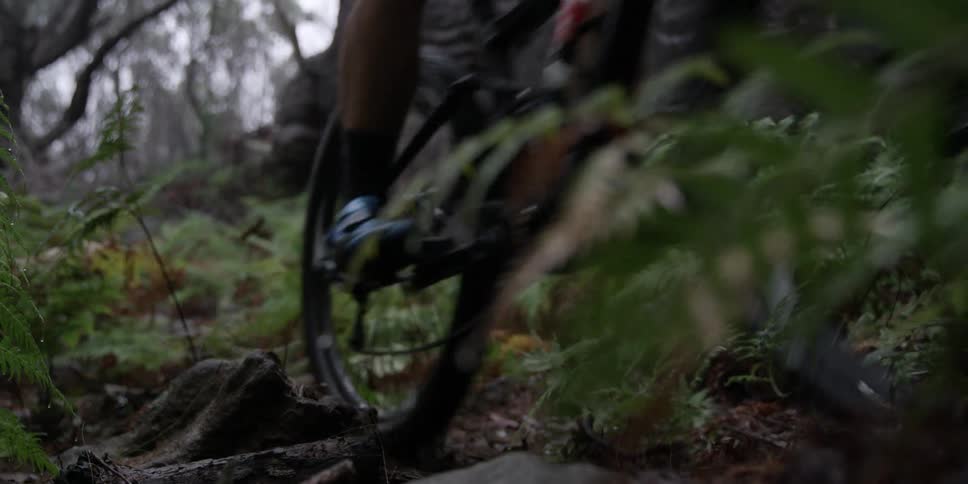 A man rides a bike through the woods over bumpy terrain