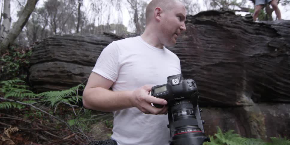A man stands in the woods looking down at his camera