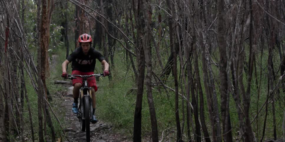 A person rides through a stand of trees