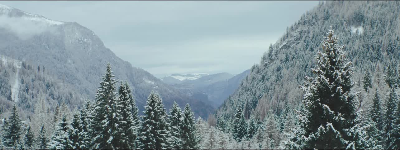 Aerial view of mountains and forest during winter, blue and green hues