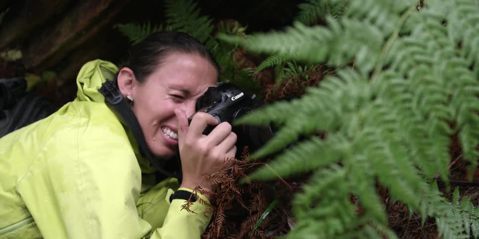 A woman focuses her camera on a fern
