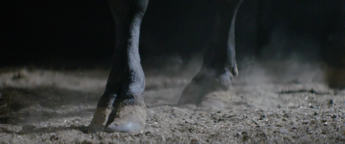 A bull is pacing in its pen and kicking up dust