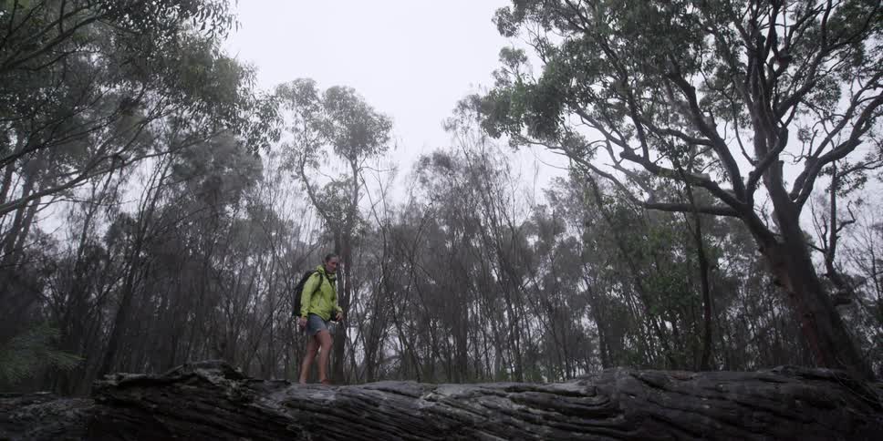 A woman hikes in the forest on a rainy day