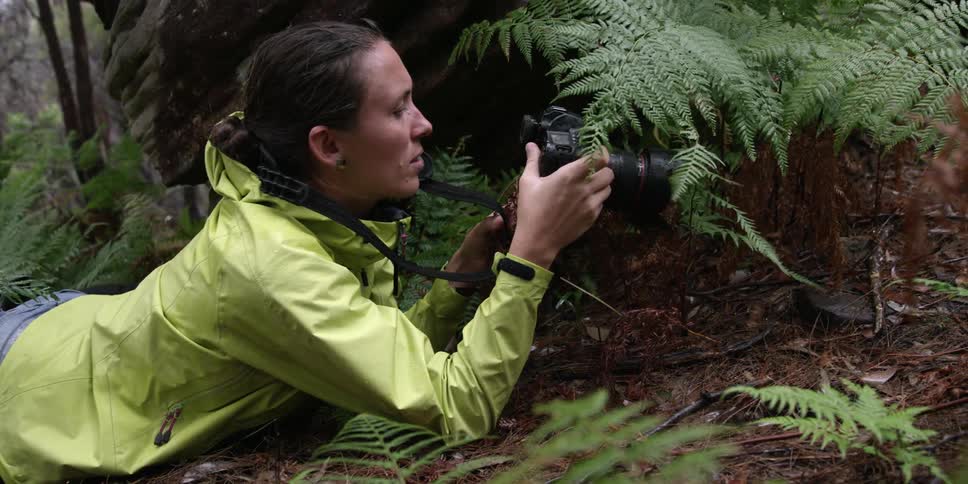 A photographer snapping a picture and checking the image