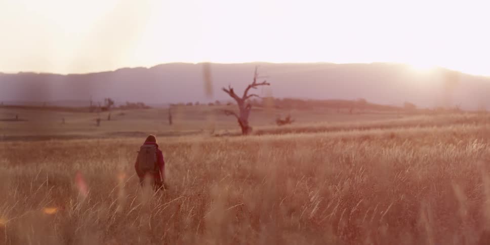 A man walking through a field of tall grass