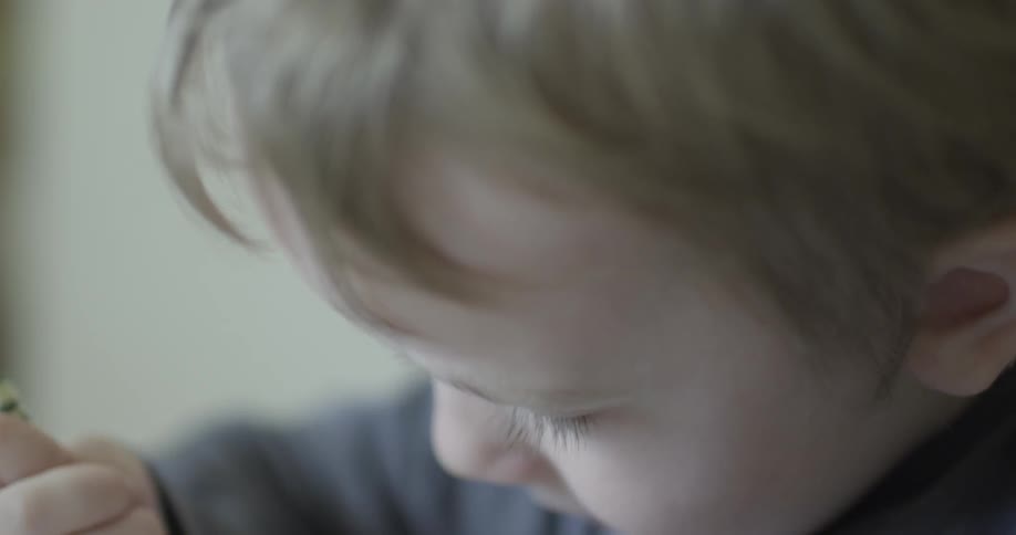 A little boy colors
