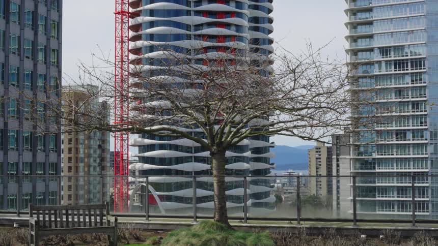 High rise buildings overlook a park downtown