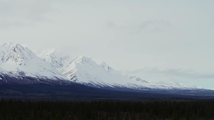 An aerial of a wide mountain range with snow covered peaks and a dense pine forest at the bottom of the mountains